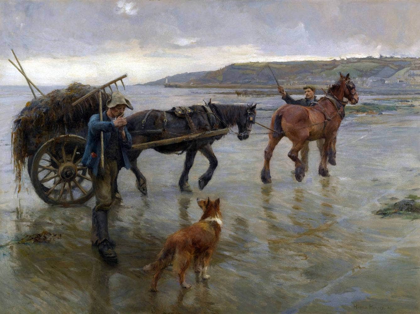 Seaweed Gatherers Painting Harold Harvey Canvas Art Fine Art Print