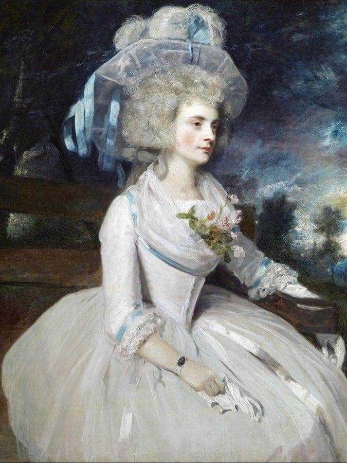 Selina Lady Skipwith By Joshua Reynolds Fine Art Print