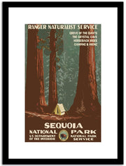 Sequoia Park  Vintage Poster Fine Art Print
