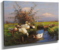 Seven Ducks At The Graben By Alexander Koester Fine Art Print