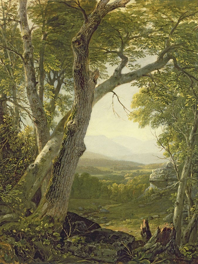 Shandaken Ridge, Kingston, New York By Asher Brown Durand Fine Art Print