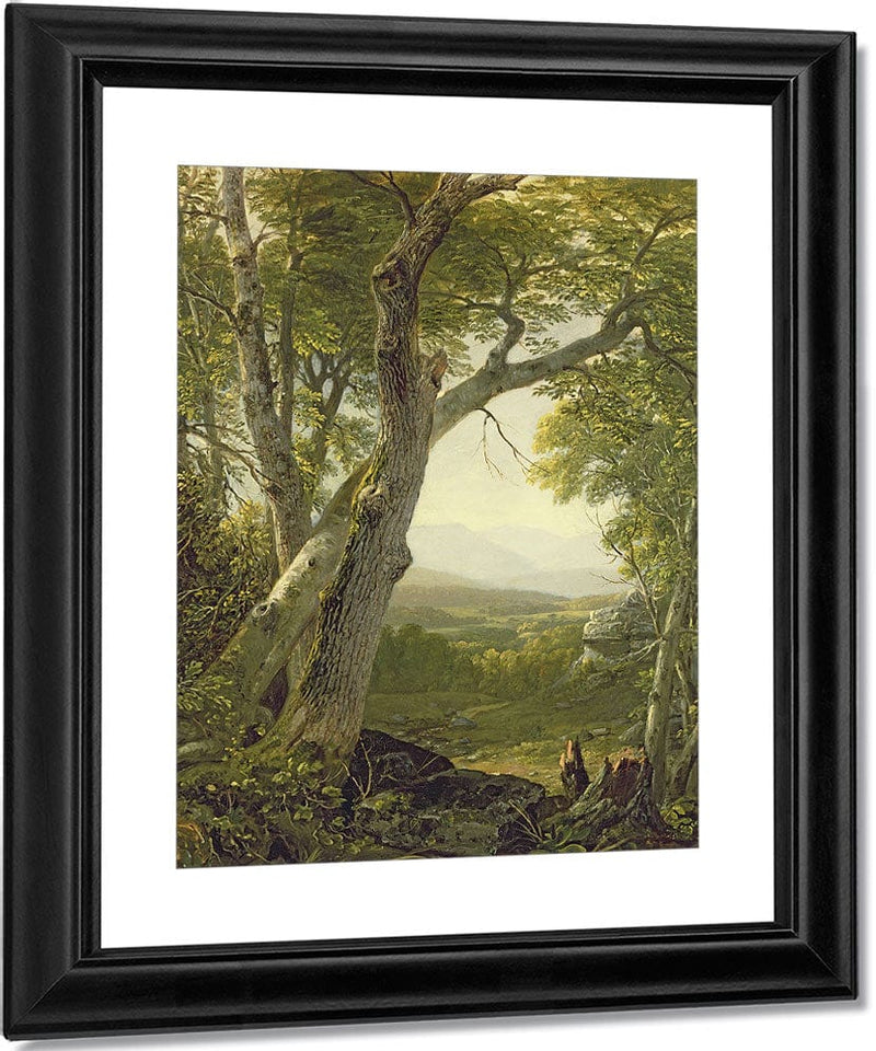 Shandaken Ridge, Kingston, New York By Asher Brown Durand Fine Art Print