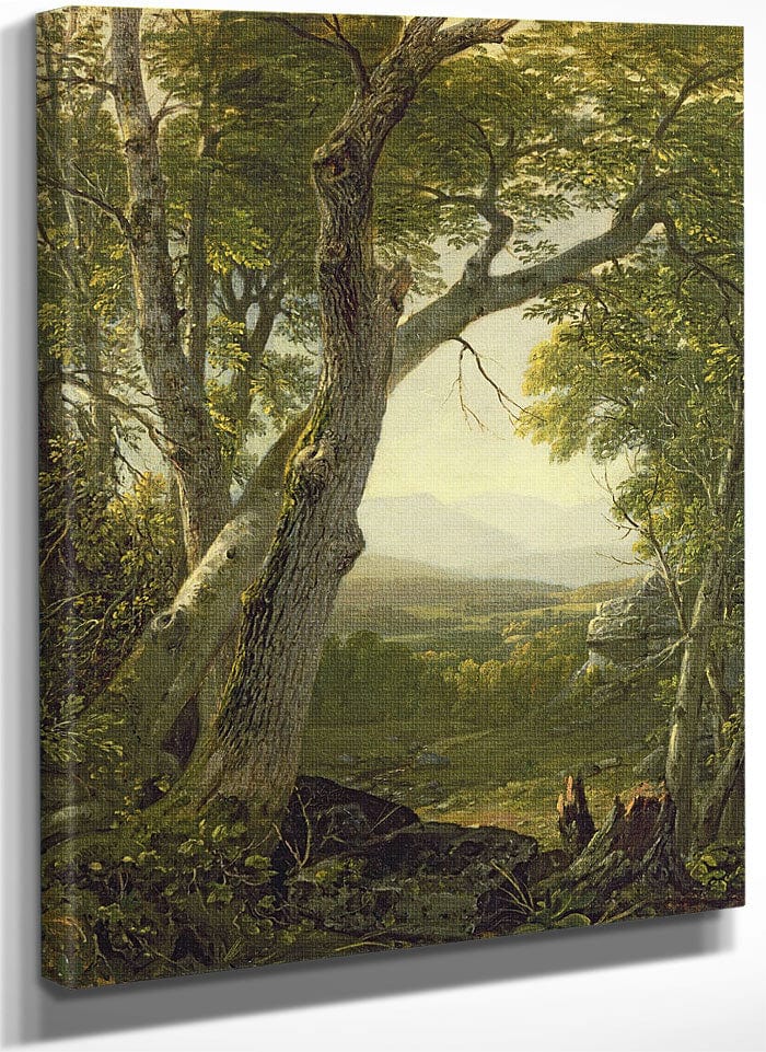 Shandaken Ridge, Kingston, New York By Asher Brown Durand Fine Art Print