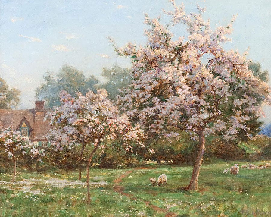 Sheep In An Orchard By Robert Reid Fine Art Print