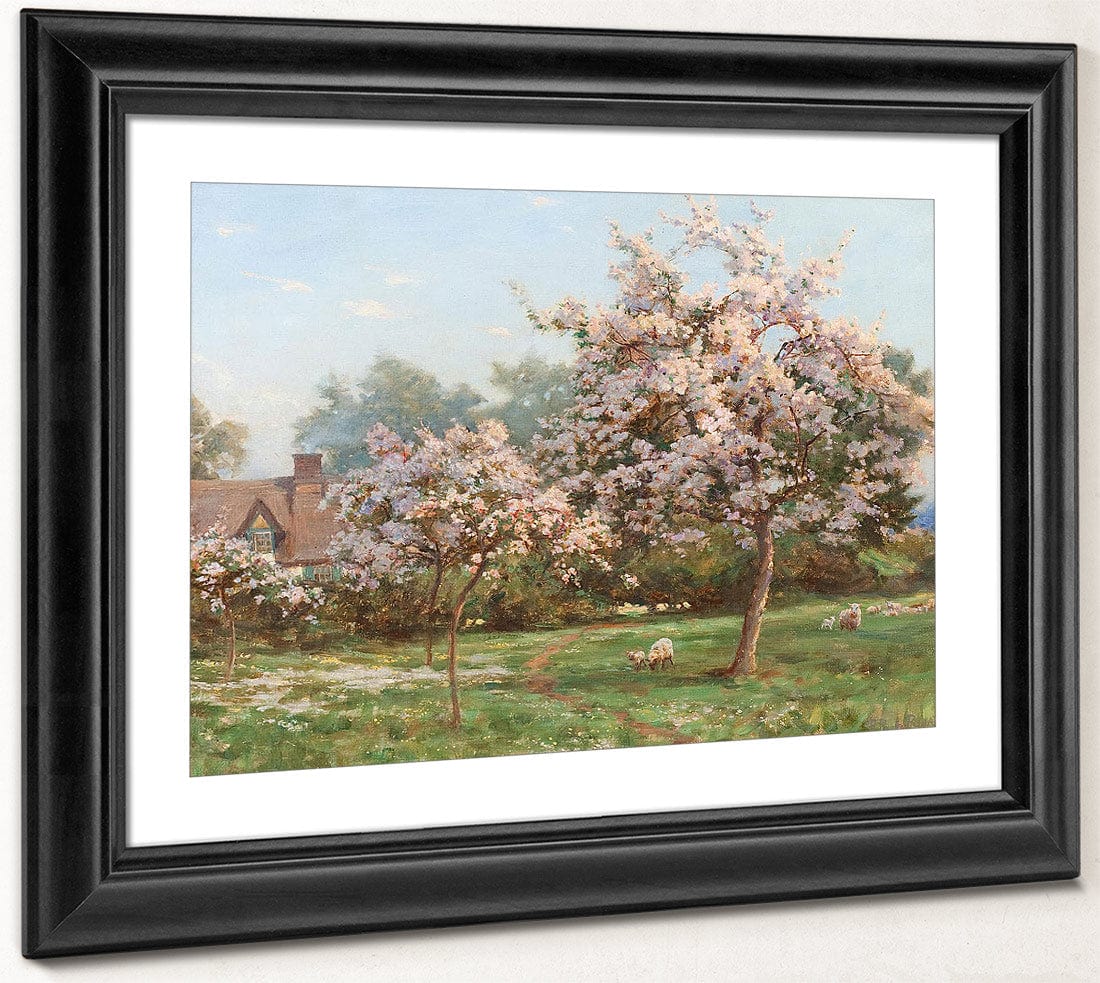 Sheep In An Orchard By Robert Reid Fine Art Print