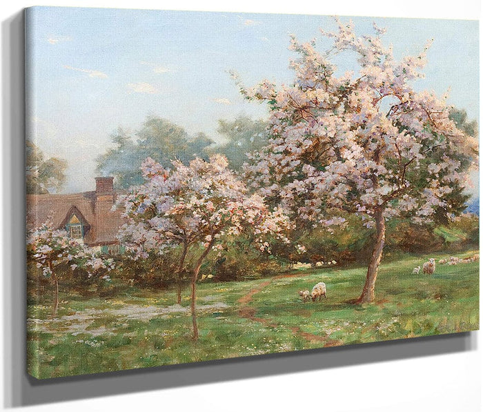 Sheep In An Orchard By Robert Reid Fine Art Print