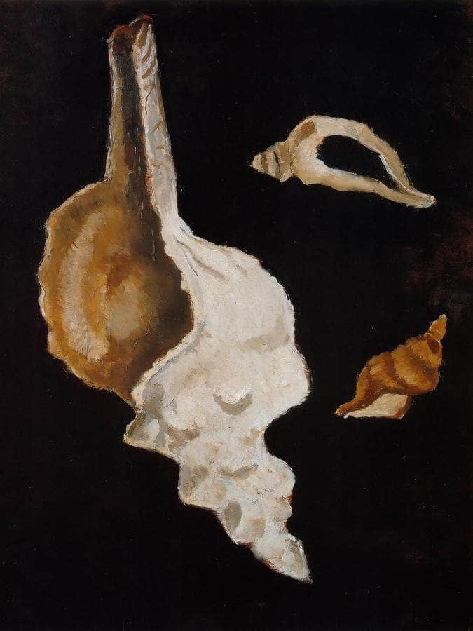 Shells By The Sea By Marsden Hartley Fine Art Print