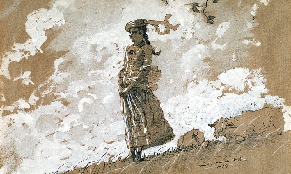 Shepherdess And Sheep By Winslow Homer Fine Art Print