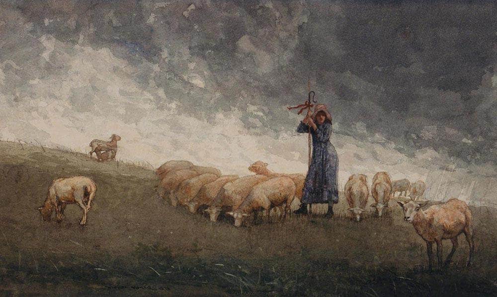 Shepherdess Tending Sheep By Winslow Homer Fine Art Print