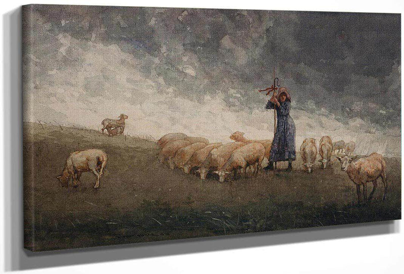 Shepherdess Tending Sheep By Winslow Homer Fine Art Print
