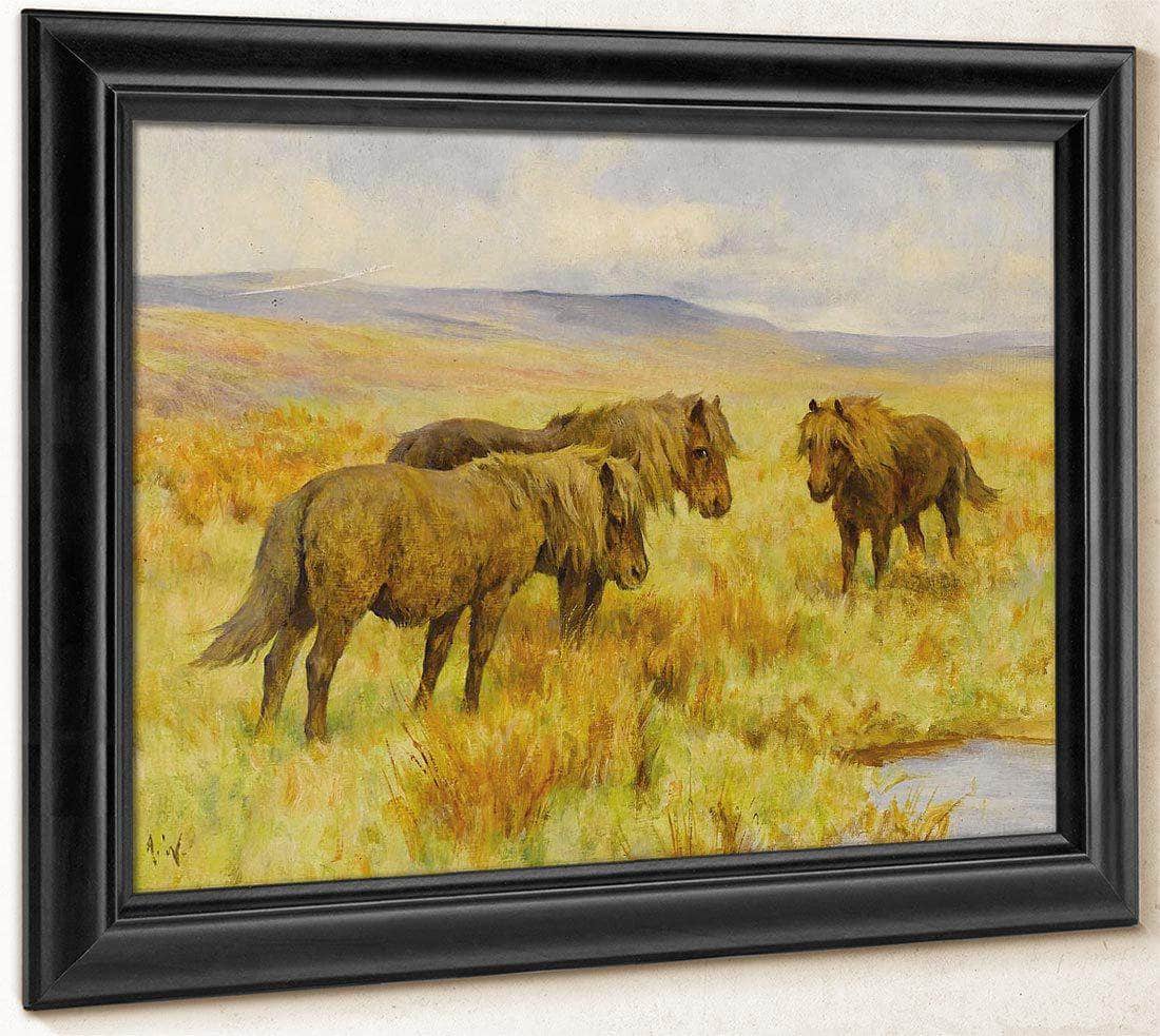 Shetland Ponies By Arthur Wardle Fine Art Print