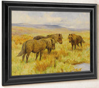 Shetland Ponies By Arthur Wardle Fine Art Print
