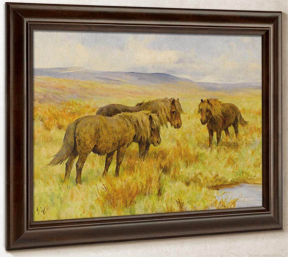 Shetland Ponies By Arthur Wardle Fine Art Print