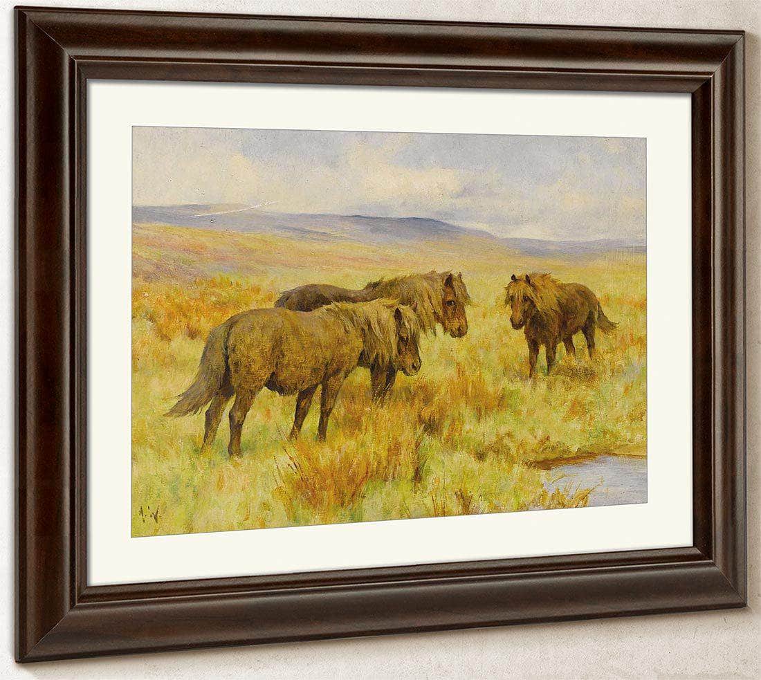Shetland Ponies By Arthur Wardle Fine Art Print