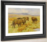 Shetland Ponies By Arthur Wardle Fine Art Print