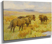 Shetland Ponies By Arthur Wardle Fine Art Print