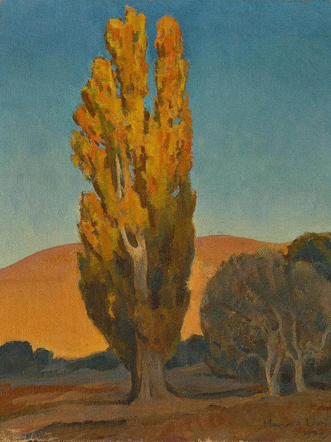 Shifting Light On A Poplar By Maynard Dixon Fine Art Print