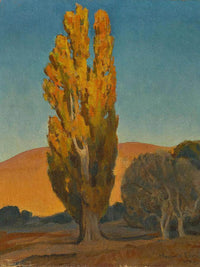 Shifting Light On A Poplar By Maynard Dixon Fine Art Print