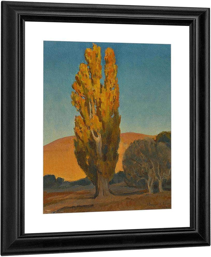 Shifting Light On A Poplar By Maynard Dixon Fine Art Print