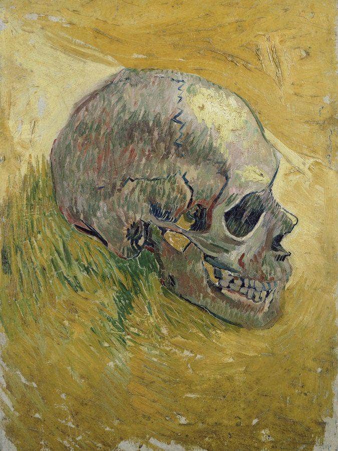 Skull By Vincent Van Gogh Fine Art Print