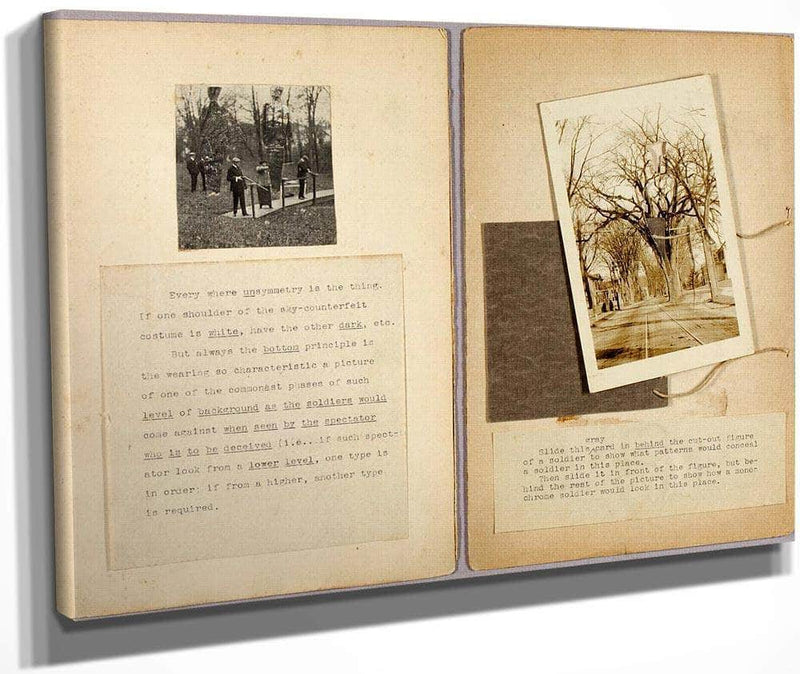 Slide This Grey Card..., Study Folder For Book Concealing Coloration In The Animal Kingdom By Abbott Handerson Thayer Fine Art Print