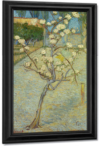 Small Pear Tree In Blossom By Vincent Van Gogh Fine Art Print