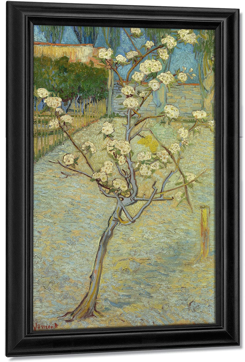 Small Pear Tree In Blossom By Vincent Van Gogh Fine Art Print