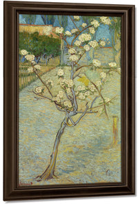 Small Pear Tree In Blossom By Vincent Van Gogh Fine Art Print
