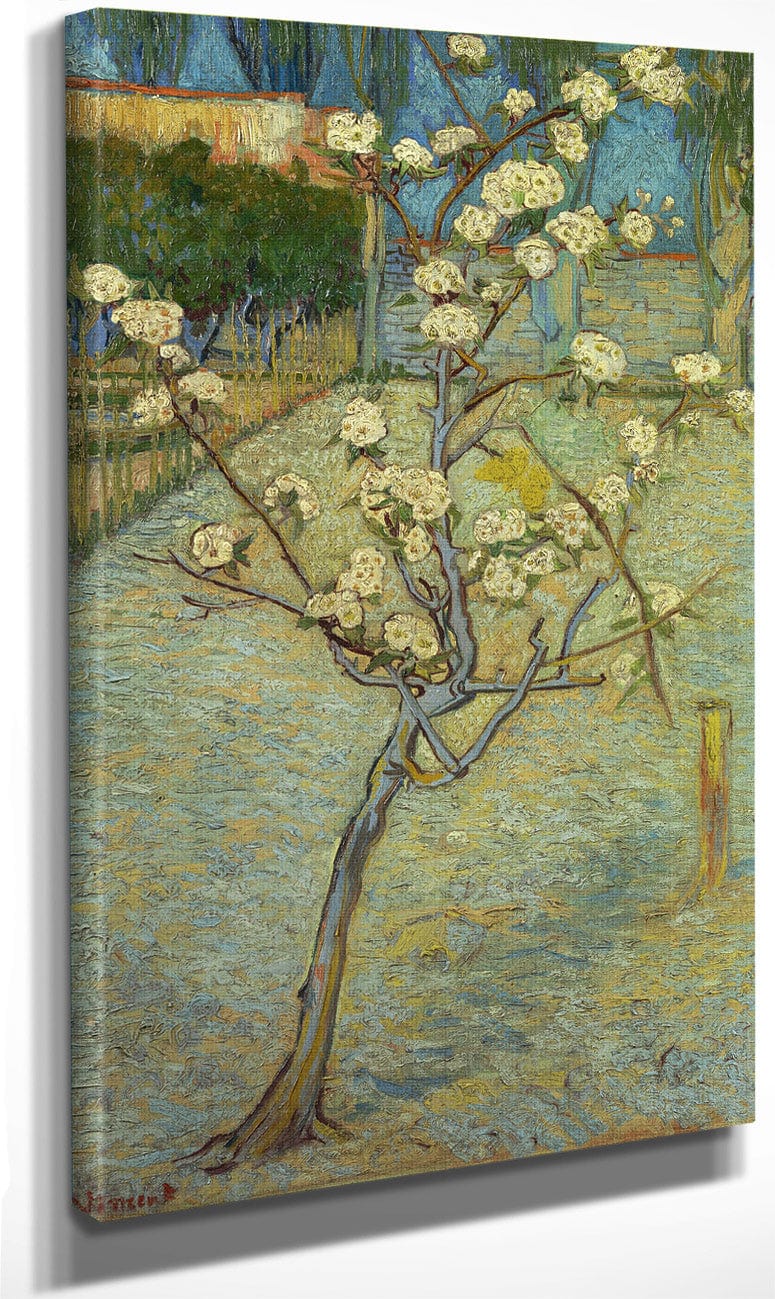 Small Pear Tree In Blossom By Vincent Van Gogh Fine Art Print