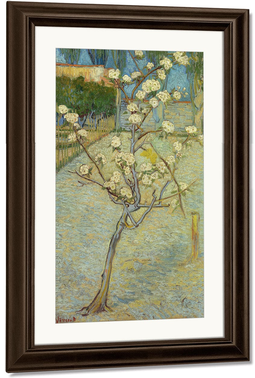 Small Pear Tree In Blossom By Vincent Van Gogh Fine Art Print