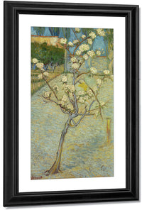 Small Pear Tree In Blossom By Vincent Van Gogh Fine Art Print