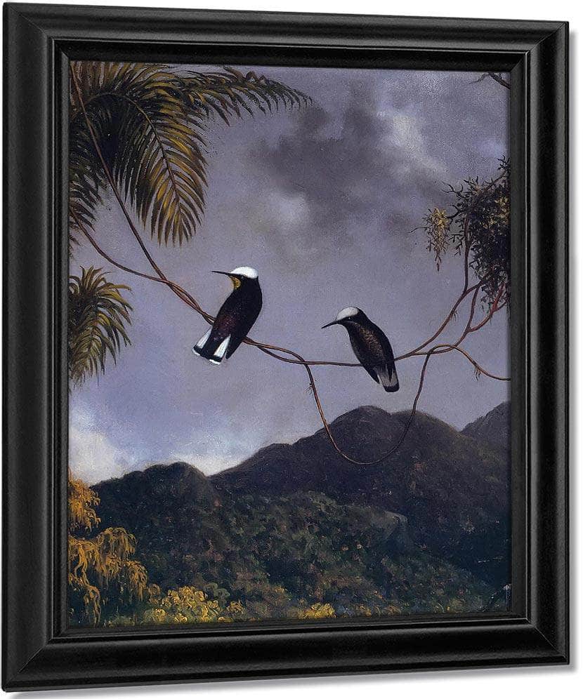 Snowcap By Martin Johnson Heade Fine Art Print