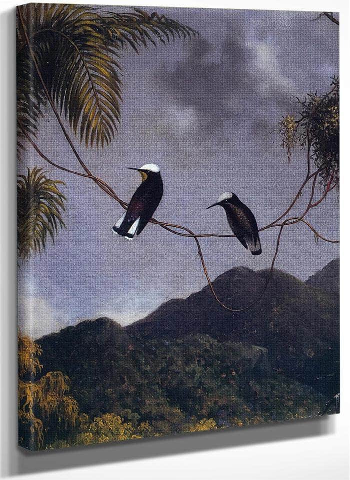 Snowcap By Martin Johnson Heade Fine Art Print