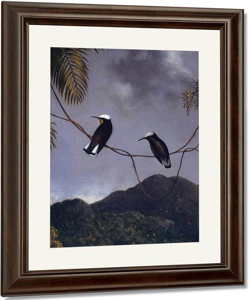 Snowcap By Martin Johnson Heade Fine Art Print