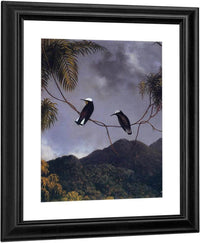 Snowcap By Martin Johnson Heade Fine Art Print