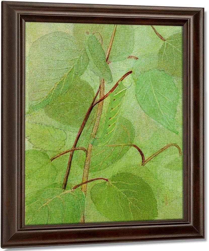 Sphinx Caterpillar, Study For Book Concealing Coloration In The Animal Kingdom By Abbott Handerson Thayer Fine Art Print