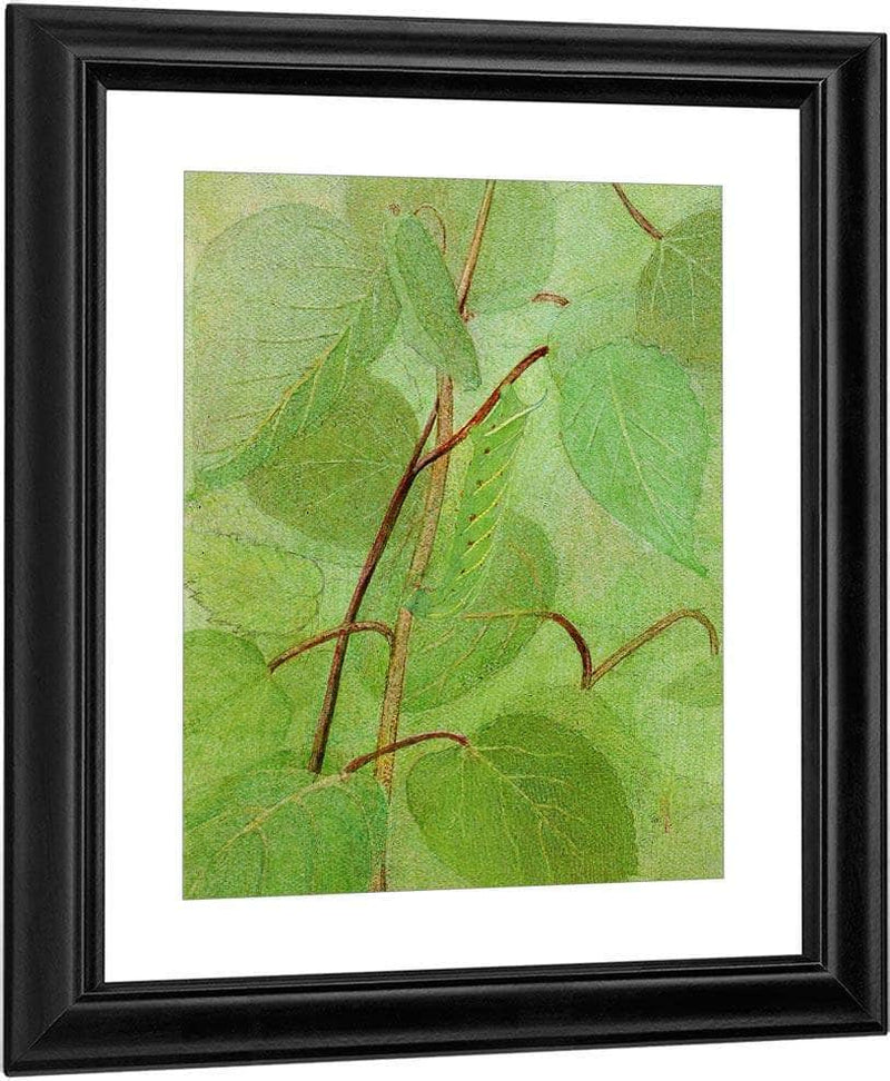 Sphinx Caterpillar, Study For Book Concealing Coloration In The Animal Kingdom By Abbott Handerson Thayer Fine Art Print