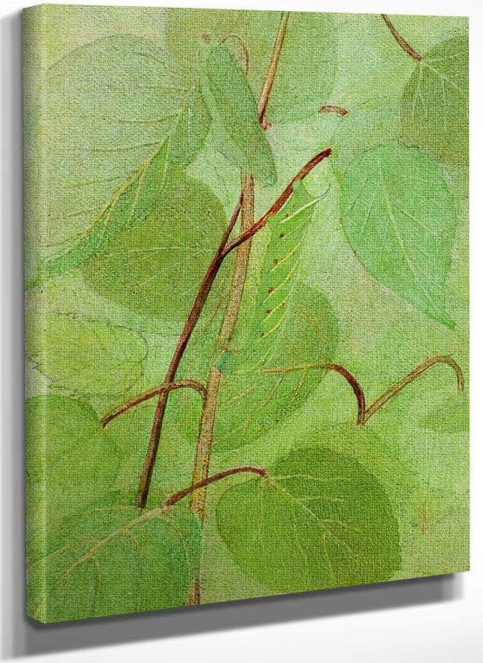 Sphinx Caterpillar, Study For Book Concealing Coloration In The Animal Kingdom By Abbott Handerson Thayer Fine Art Print