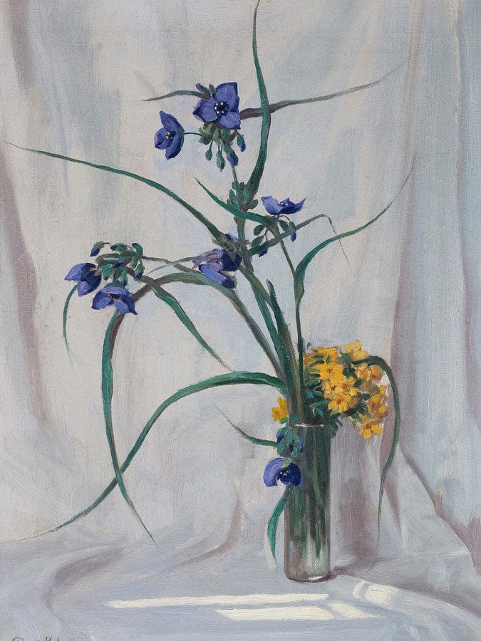 Spider Wort & Puccoon By Frank V. Dudley Fine Art Print