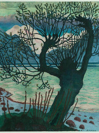 Spring Night And Willow By Nicolai Astrup Fine Art Print