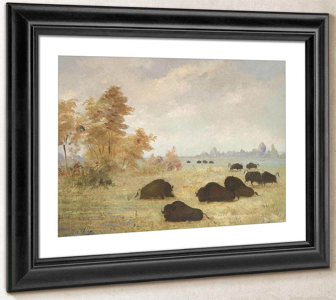 Stalking Buffalo, Arkansas By George Catlin Fine Art Print