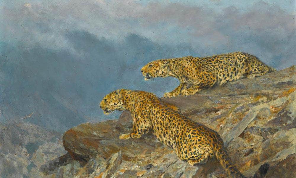 Stealth By Arthur Wardle Fine Art Print