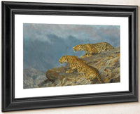 Stealth By Arthur Wardle Fine Art Print