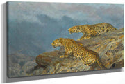 Stealth By Arthur Wardle Fine Art Print