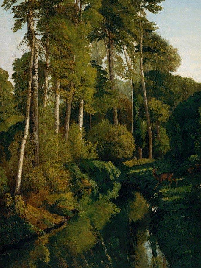 Stream In The Forest By Gusave Courbet Fine Art Print