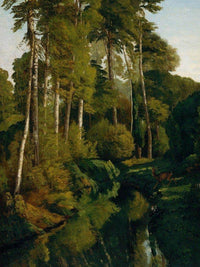 Stream In The Forest By Gusave Courbet Fine Art Print