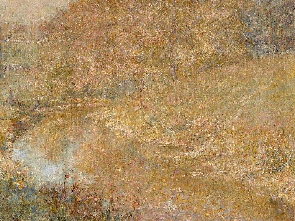 Stream In The Woods By Robert Reid Fine Art Print