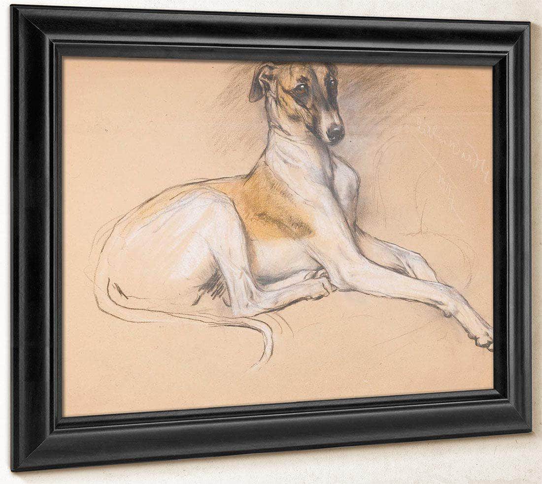 Studies Of A Greyhound By Arthur Wardle Fine Art Print