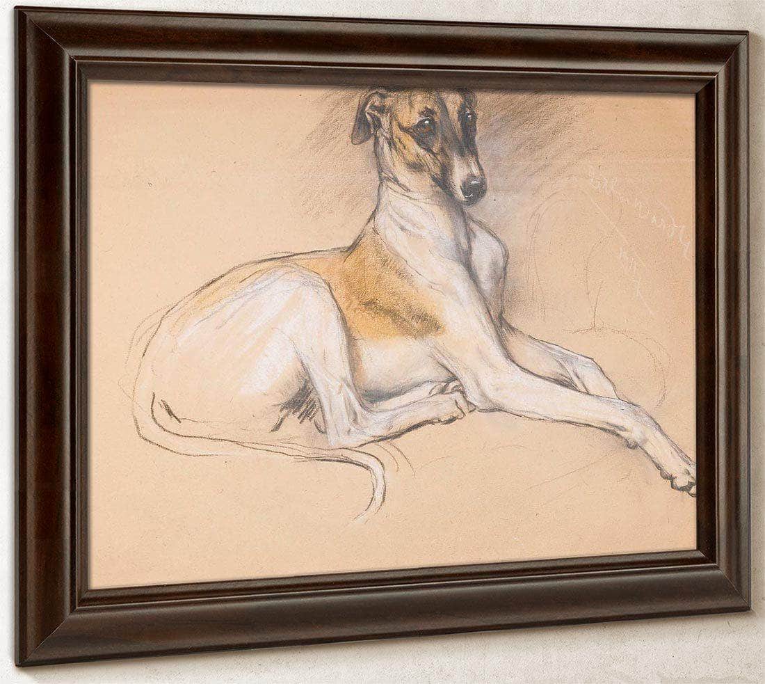 Studies Of A Greyhound By Arthur Wardle Fine Art Print