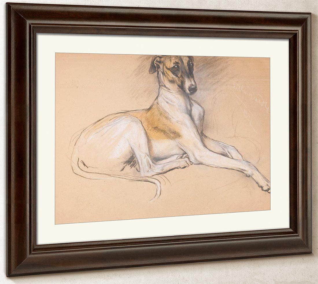 Studies Of A Greyhound By Arthur Wardle Fine Art Print